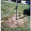 Garden Stakes and Plant Supports image